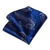 DiBanGu Conjunto de pañuelo y gemelos de seda para hombre