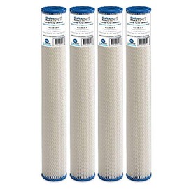 4-Pack of Baleen Filters 20" x 2.5" 20 Micron Pleated Sediment Filter Cartridge Replacement for HDX SPC-25-2020, Watts FM-20-20, Pentek R30-20
