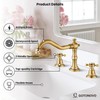 gotonovo Bathroom Faucet 3 Hole 8 Inch Widespread Bathroom Sink
