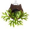 CIYODO 1Pc Hanging Plants Board Durable Wooden Wall Planter for