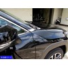 BRIGHTZ RAV4 PHV AXAP54 Plated Front Corner Panel [COR-MOL-012] XAP54