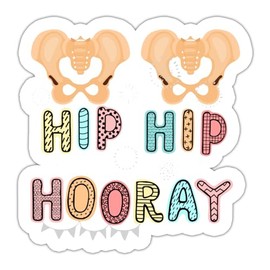 Hip Hip Horray Funny Sticker | Vinyl | Decal for Car Window, Bumper, Laptop, Water Bottle, 5"