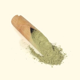 Octavius | Matcha Tea | Japanese Culinary Grade | 100% USDA Organic | Matcha Green Tea Powder | Matcha Powder for Smoothies/Latte/Baking/Hot & Cold Beverages | Pack of 1 | 7 oz (200g)