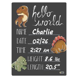 Cohas Hello World Newborn Baby Announcement Chalkboard Sign with Dinosaur Theme, 5 by 7 Inches, No Marker