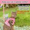 Cat Harnesses and Dog Harness with Leashes Set, Escape Proof