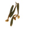 Fishing Worm Rubber, Fishing Lure, 50 Pieces Artificial Bait, Soft