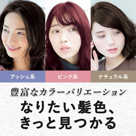 Gray Hair Dye Houyou Cielo Designing Color (Premium Ash) 1st Agent 32g + 2nd Agent 96mL [Over-the-counter Drug]