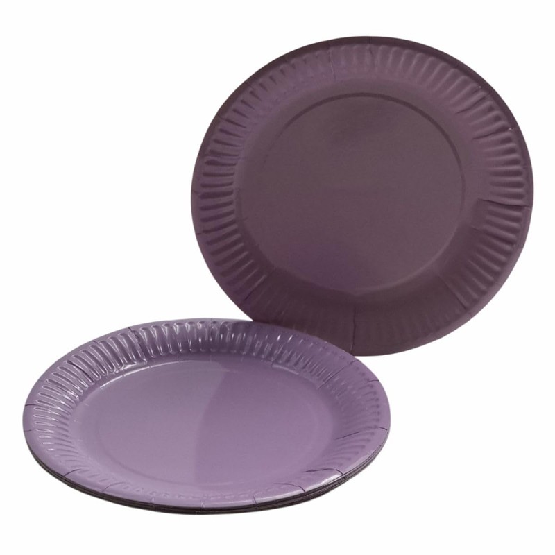 Pastel Round Paper Plates – 10 Pack – 23cm Disposable
