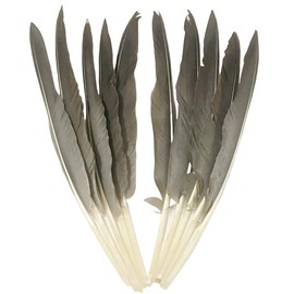 50pcs Grey Long Feathers 10~12 Inches,Beautiful Bulk Feather for Crafts 26-31CM,Big Size Bilateral Natural Goose Feather,for Wedding Dress and Party Decoration,DIY Fabricating Handicraft Article (Grey)