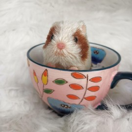 AVANI DOLL 4'' Full Body Silicone Cute Mini Hamster (Brown Hair w Dots), LM087