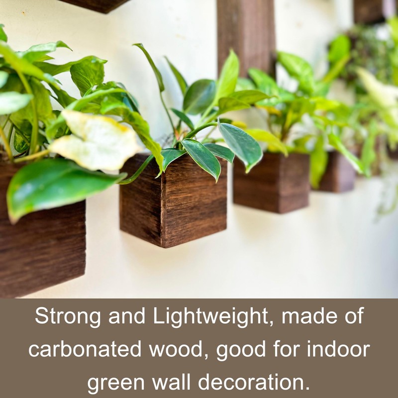 LaLaGreen Indoor Planter Box for Plants (4x4 Inch, 12 Pack)