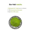 Ceremonial Grade | Matcha Powder Green Tea | Spring Harvest