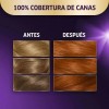 Koleston Kit Tintura Permanente Con Tratamiento Hidratante 67 Chocola