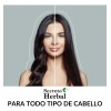 Shampoo Cola De Caballo Secreto Herbal Anticaida Romero 500ml