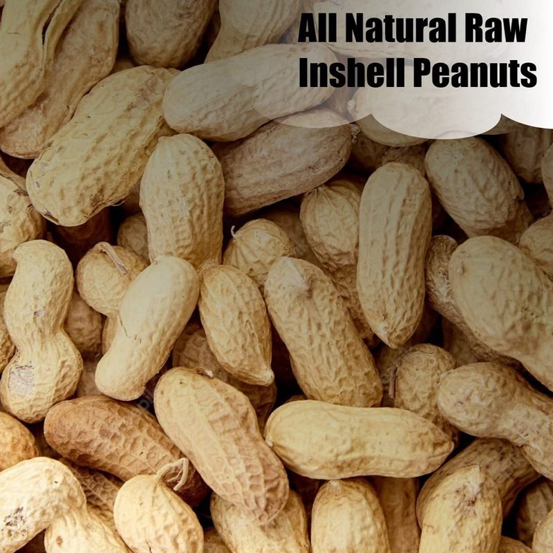 Old Potters Wildlife in-Shell Peanuts for Birds, Squirrels, and Wildlife.