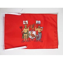 AZ FLAG Liverpool Flag 18'' x 12'' cords - Liverpool in England SMALL flags 30 x 45cm - Banner 18x12 in