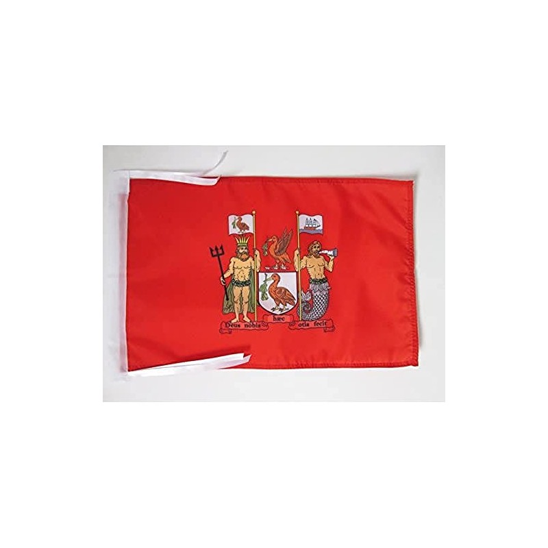 AZ FLAG Liverpool Flag 18'' x 12'' cords - Liverpool