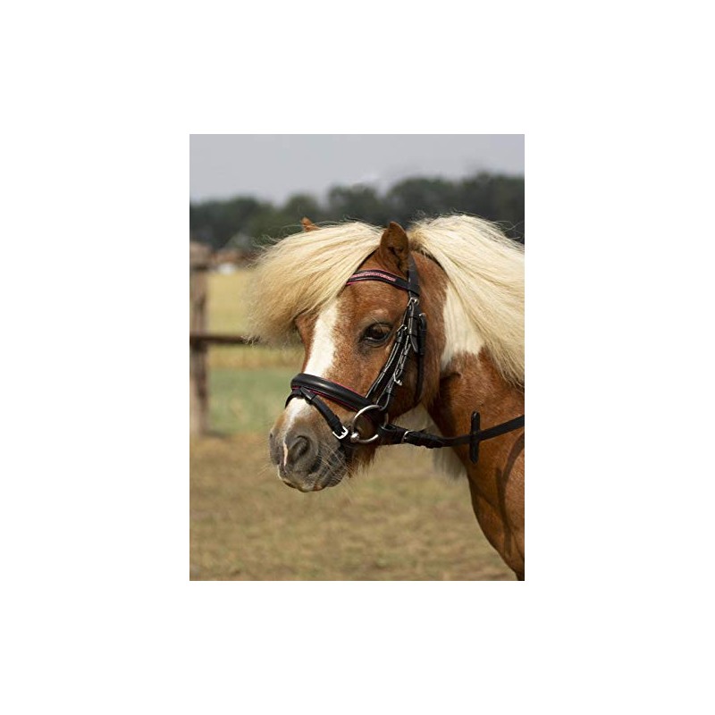 BUSSE Little Bridle