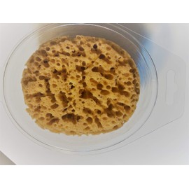 Stepsaver Products Orange Peel and Knockdown Texture Combo Sponge