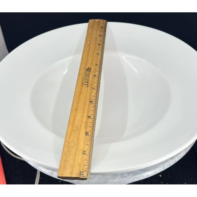 Sant'Andrea Royal Porcelain 12 inch Pasta Plate - (New)