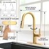 FROPO Gold Kitchen Faucets, Brushed Gold Kitchen Faucet with Pull