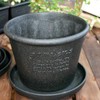 Gardens Eco Pot Series