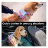 PHOEPET No Pull Dog Vest Harness with Unique Colors，Adjustable Reflective