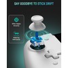 PALPOW Switch Handheld Controller for Switch/OLED Hall Controller, Ergonomic One-Piece