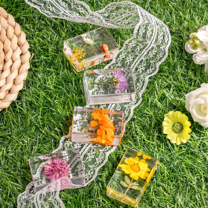 12 Pcs Real Pressed Flower Resin Paperweights - Botanical Specimen