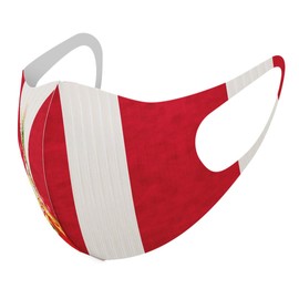Smacolle 013628 Design Mask, 2-Piece Set, Polyester, Washable, Cloth Mask, Unisex, New Year, Red and White, Kadomatsu