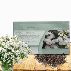 Outsidepride White Ageratum Seeds - 5000 Pcs Annual Flower Seeds for Planting with Vibrant & Fuzzy Blooms, Easy to Grow & Drought Tolerant, for Containers, Garden Borders, or Flower Bed Edging