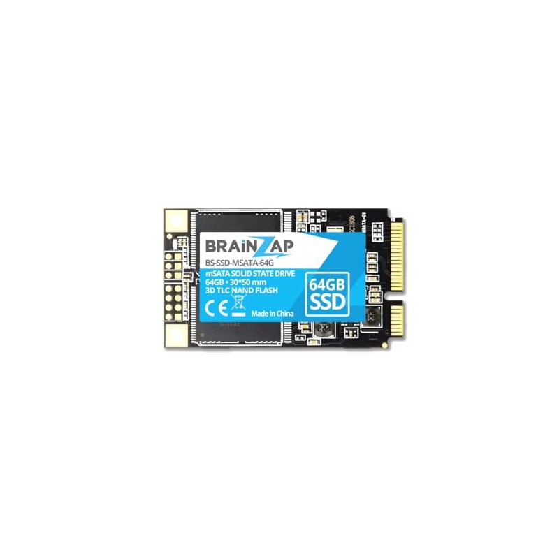 BRAINZAP 64GB mSATA SSD 6 GBit/s - Mini SATA -