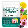Lymphatic Support Supplement with 21 Botanical Extracts – 240 PCS