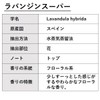 ASH Lavender (Lavandin Super) Essential Oil, 1.0 fl oz (30