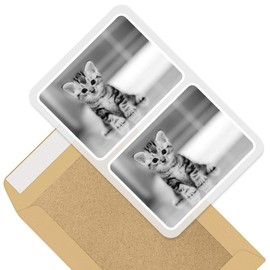Rectangle Stickers (Set of 2) 10cm - Grey Tabby Bengal Pet Kitten Animals Fun Decals for Laptops,Tablets,Luggage,Scrap Booking,Fridges, 41115