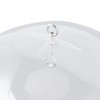 Bird Feeders Protective Cover Prevent Squirrel Clear Bird Feeder Protective
