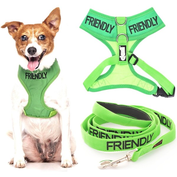 FRIENDLY (Known as Friendly to all) Green Colour Coded Non-Pull