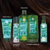 ¡NUEVOS Shampoos Yves Rocher! Nueva formula y nueva presentación (Shampoo