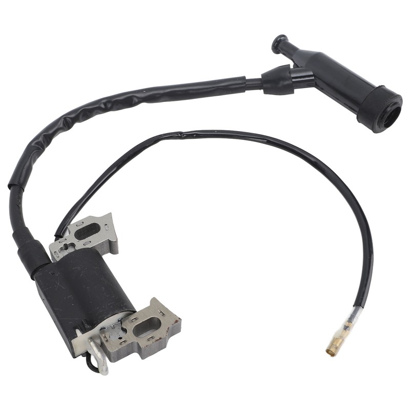 Ignition Coil Spark Plug Air Filter Stop Switch Engine Replacement