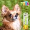 Fancy Pets Collar Extra Chico de Nylon con Bandas Reflejantes