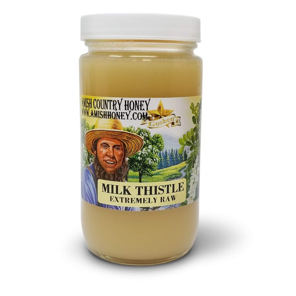 Goshen Honey Amish Extremely Raw MILK THISTLE Honey 100% Natural Domestic Honey with Health Benefits Unfiltered Unprocessed | OU Kosher Certified | 1 Lb Glass Jar