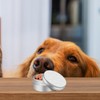 Mipcase Dog Training Scent Tins: 12pcs Dog Scent Training Box