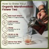 Organic Way Polvo Raíz Malvavisco Orgánico 2oz Té Herbal