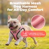 Best Pet Supplies Arnés Voyager Step-in Air de Malla para