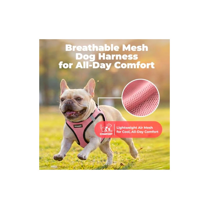 Best Pet Supplies Arnés Voyager Step-in Air de Malla para