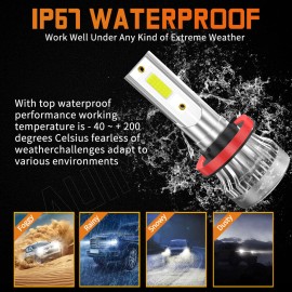 AUIMSOCO For Toyota Highlander 2014-2019 LED Lights&Fog Light Bulbs Combo Kit 6000K