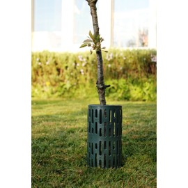 Haxnicks Strimguard | Tree Trunk Protectors | Cover For Young Trees, Plants, Saplings | Prevent Damage From Strimmers & Mowers | Green, 10 x 20 x 10 cm | Tg030101