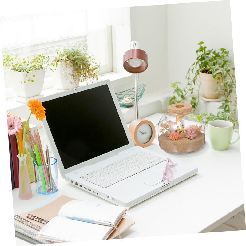 BUGUUYO Glass Terrarium Jar with Moss Terrarium Landscape Container for