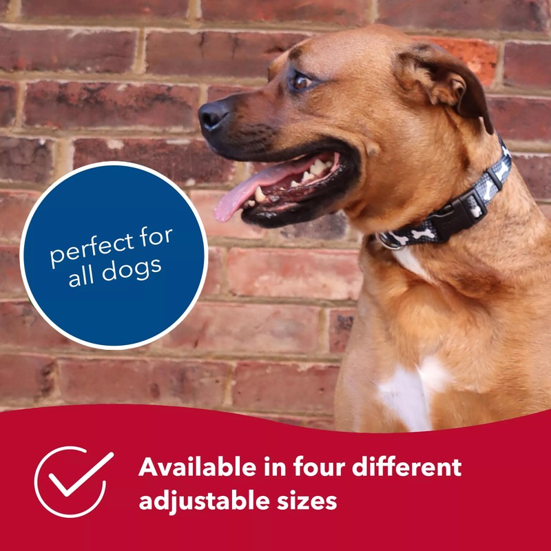 Coastal Pet Styles Adjustable Dog Collar - Stylish Patterned Fabrics