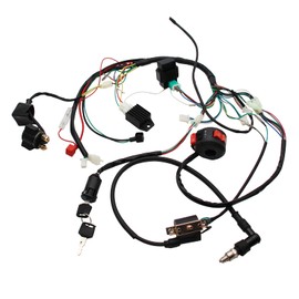 Full Electrics Wiring Harness Coil CDI 50/70/110cc ATV Quad Bike Buggy Go Kart